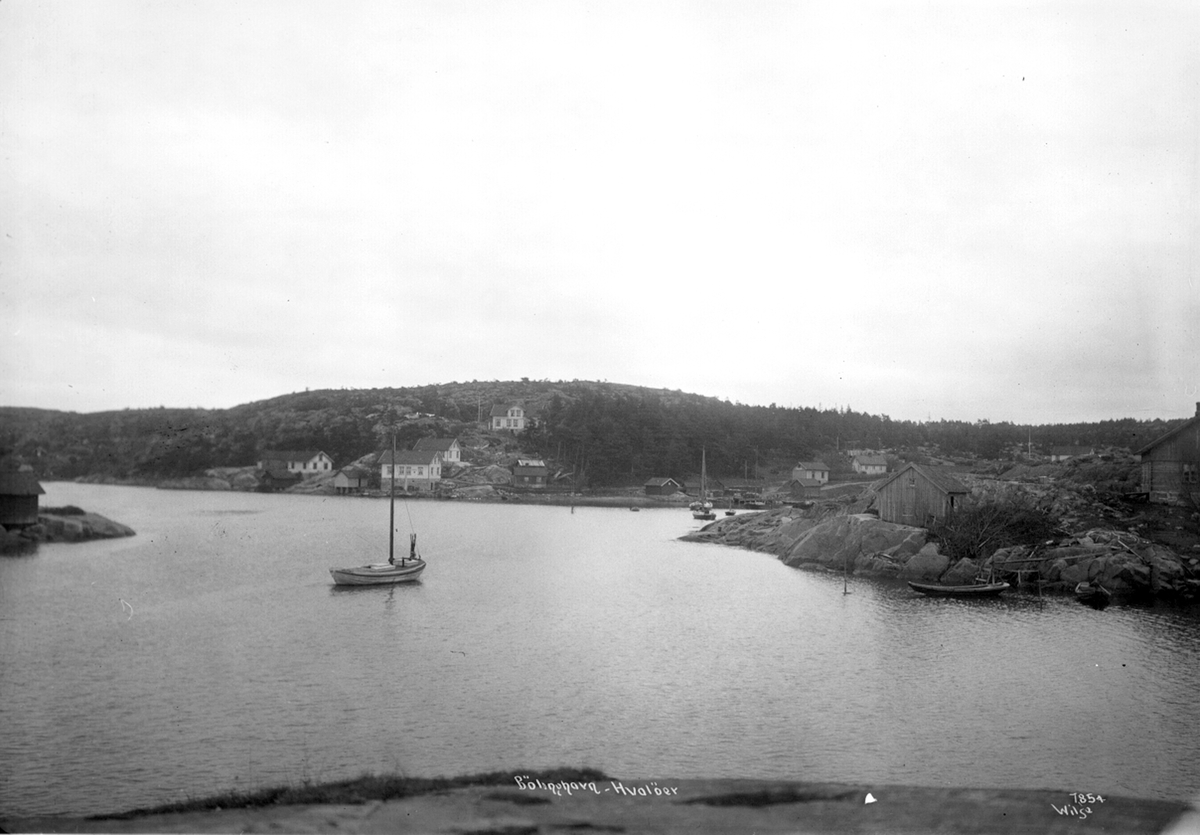 Anders Beer Wilse, Prot: Hvalør - Bøllinghavn