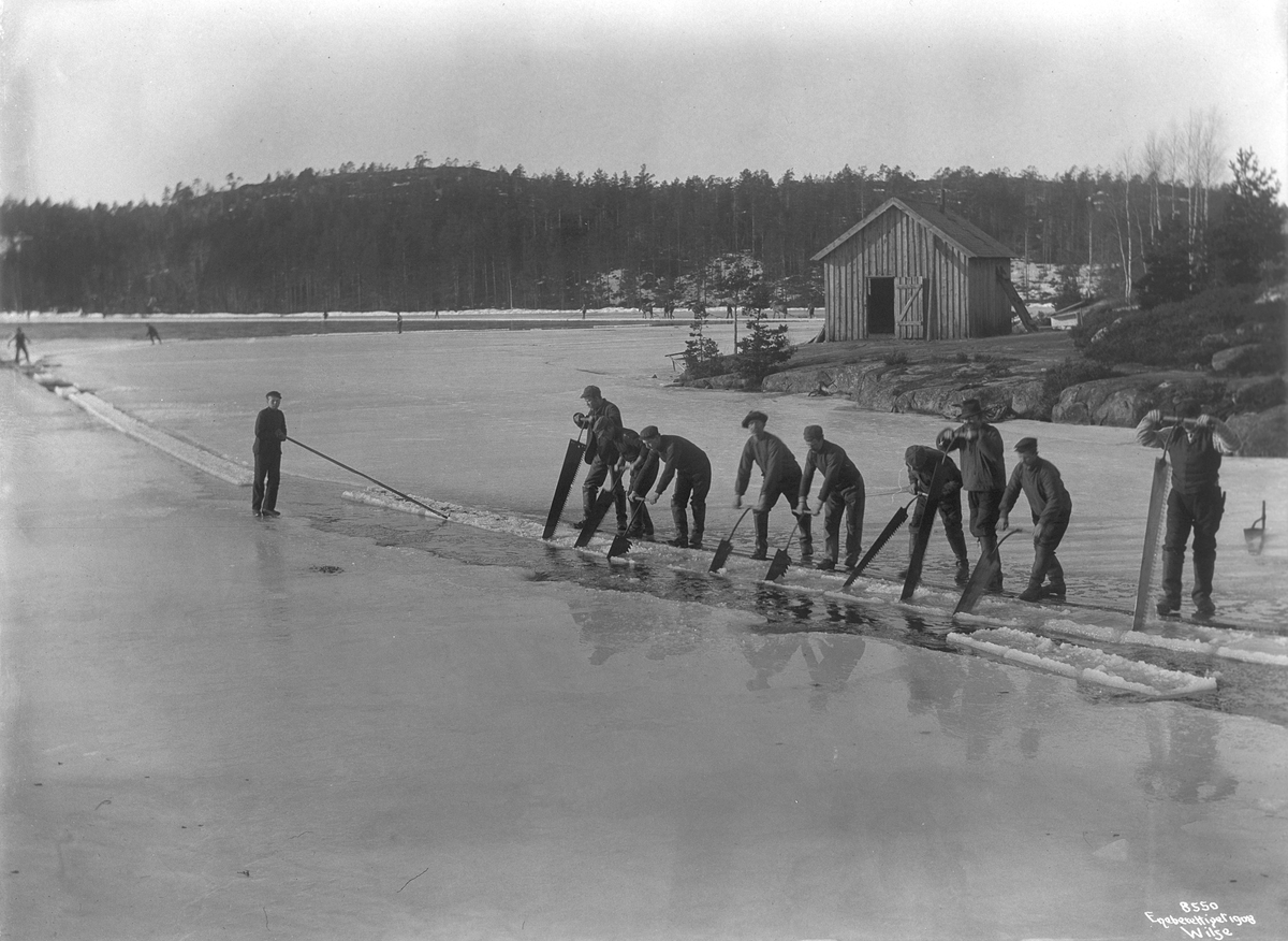 Anders Beer Wilse, Prot: Isskjæring opskjæring med håndsage 14/2 1908