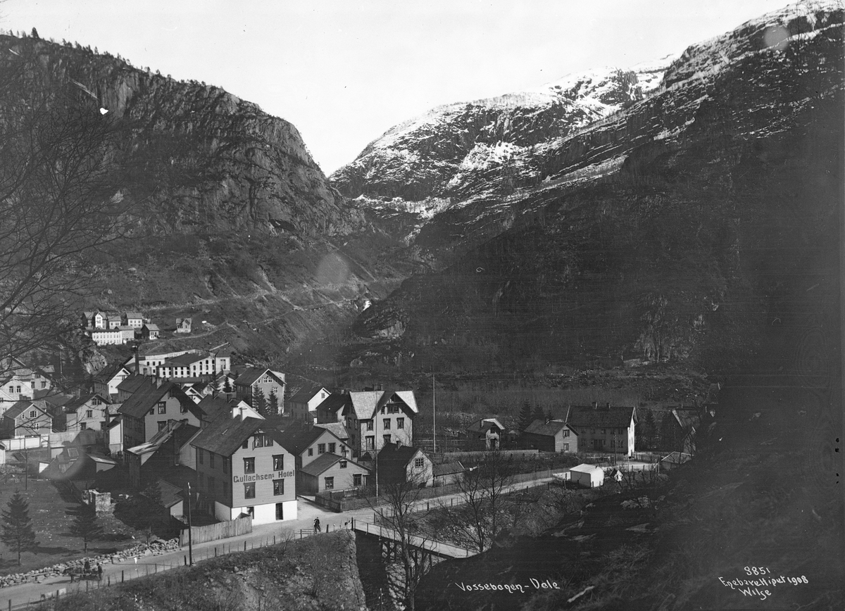 Anders Beer Wilse, Prot: Vossebanen langs Sørfjorden