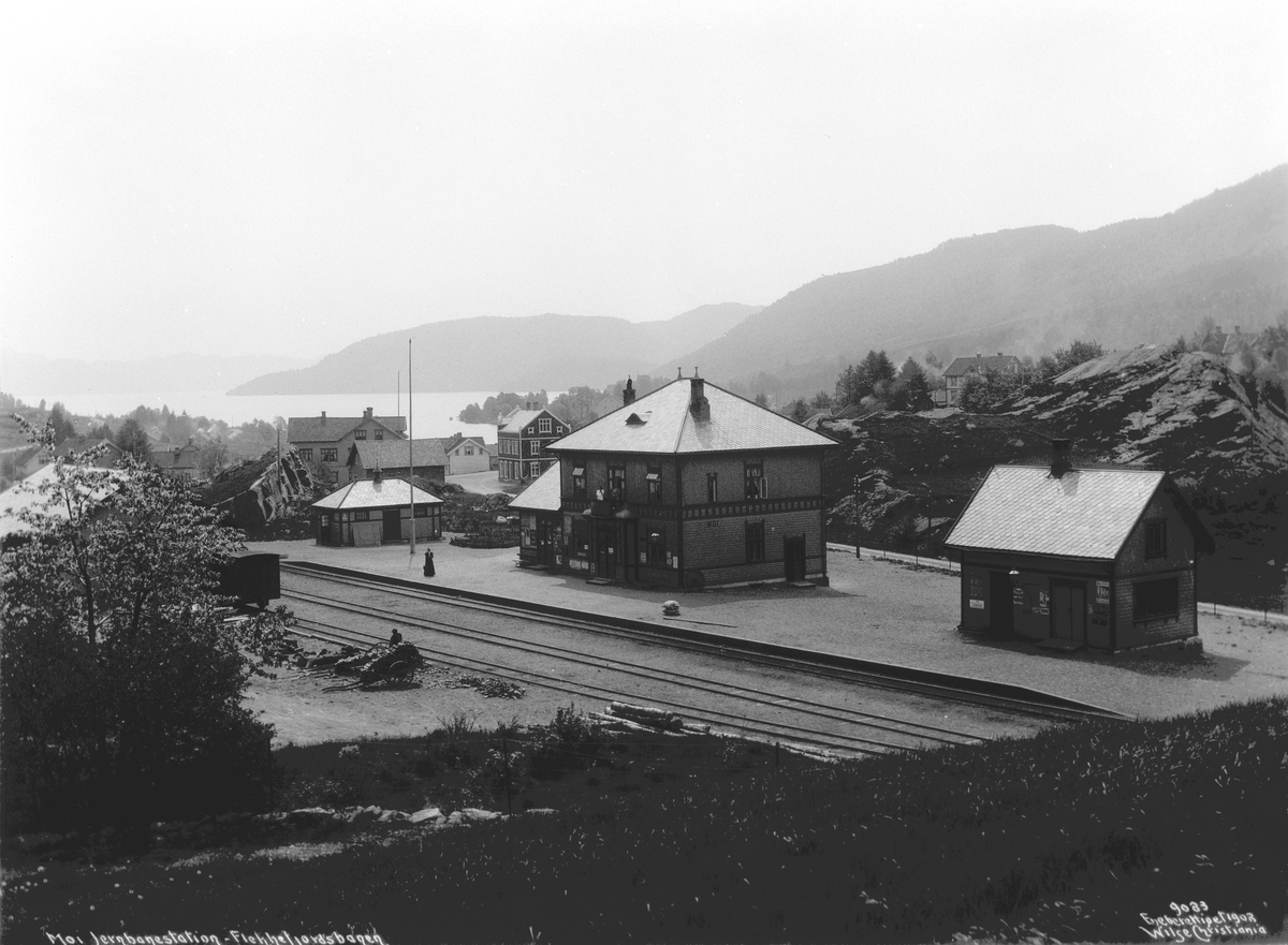 Anders Beer Wilse, Prot: Moi Jernbanestation 1908