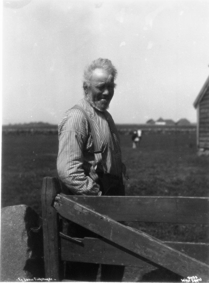 Anders Beer Wilse, Prot: En gammel Fiskerbonde 1908