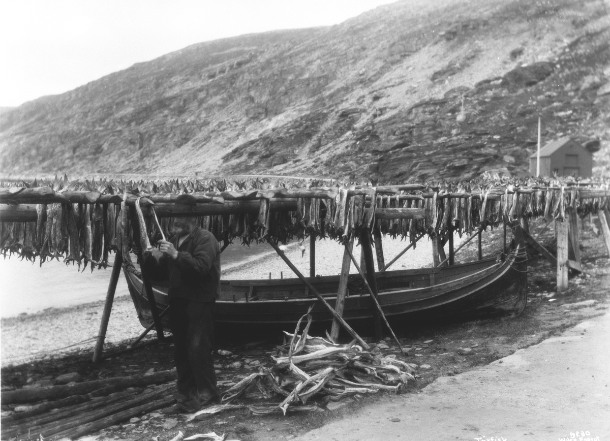 Anders Beer Wilse, Prot: Tørfisken tages av Hjellerne 3/7 1908