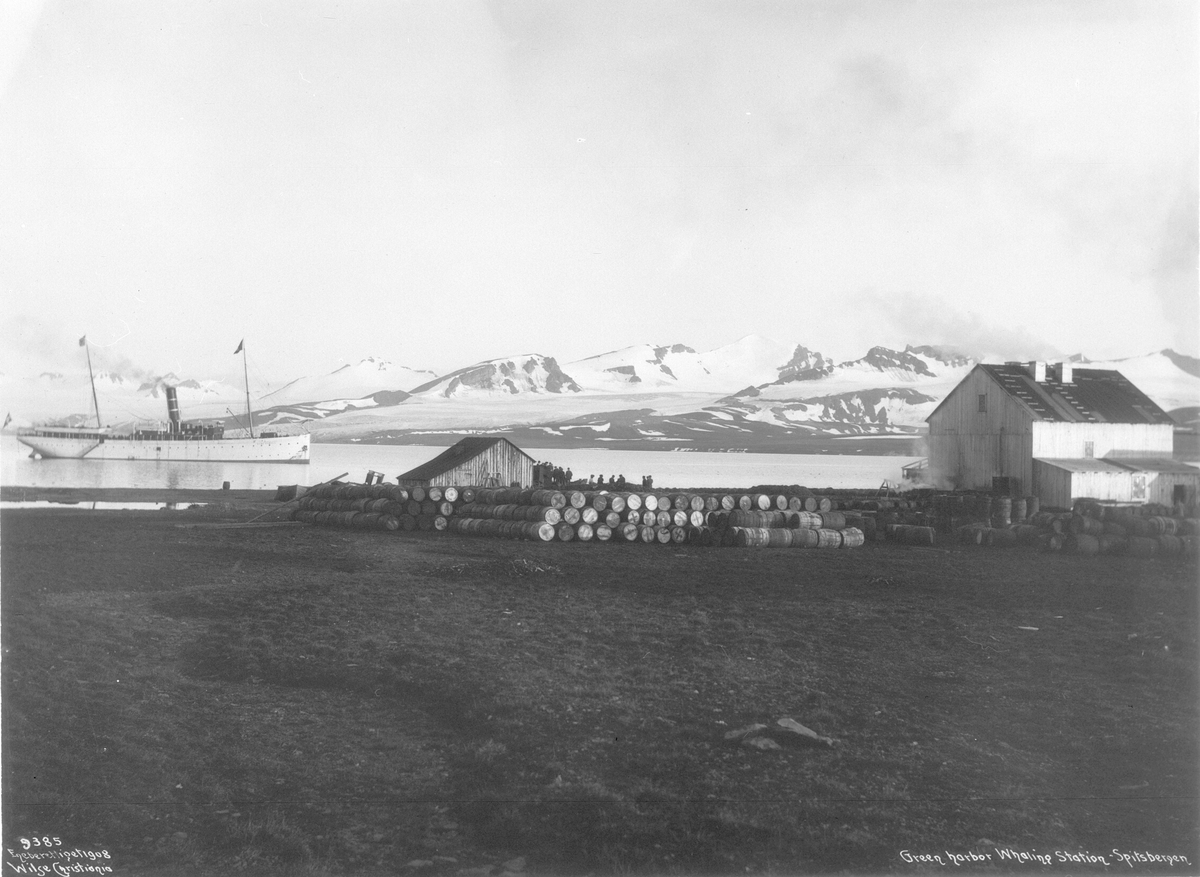 Anders Beer Wilse, Prot: Green Harbor Hvalstation 19/8 1908