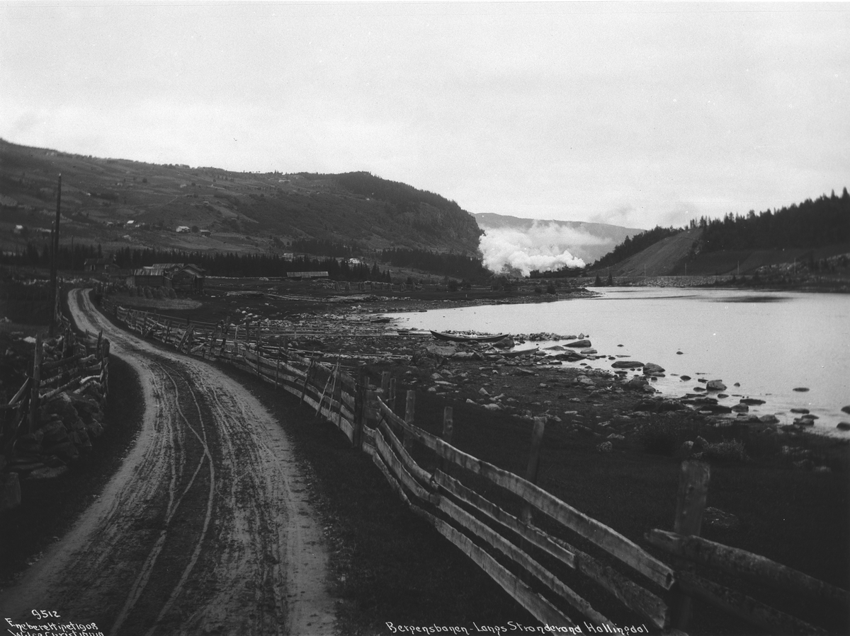 Anders Beer Wilse, Prot: Ustedalen langs Strandevann 1908 (feil i protokoll)