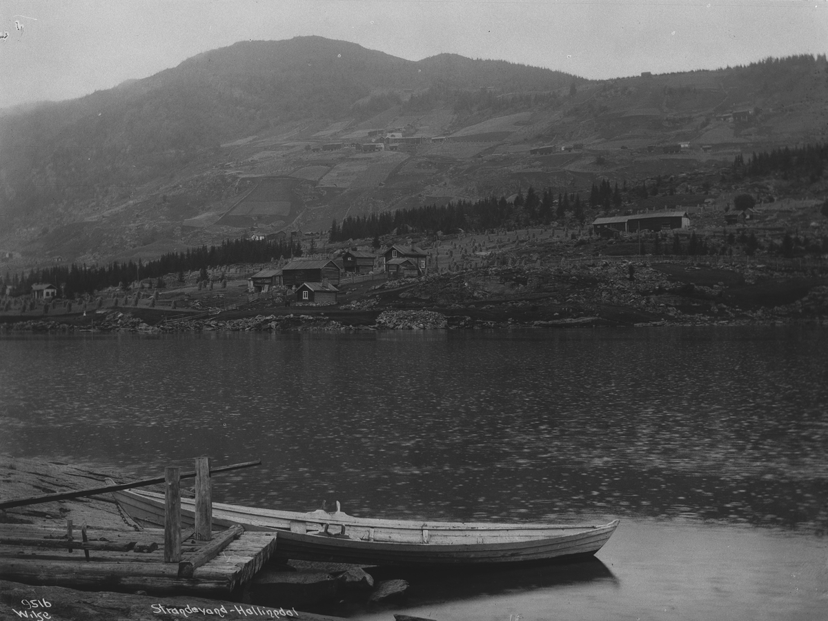 Anders Beer Wilse, Prot: Strandevann 1908