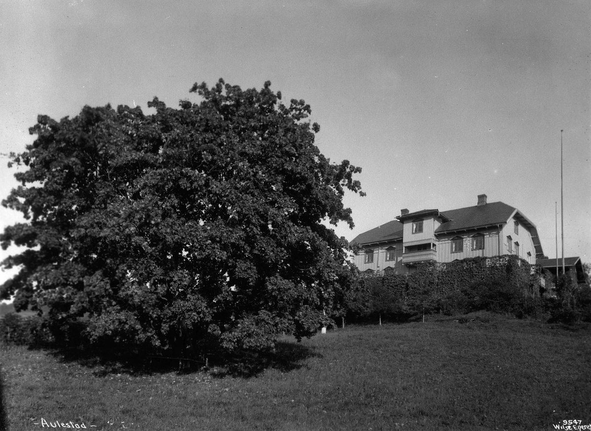 Anders Beer Wilse, Prot: Aulestad Bjørnsons hjem fra haven stor Løn 23/9 1908