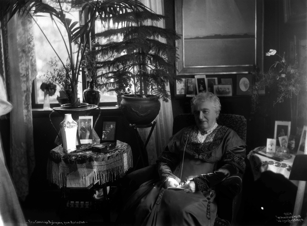 Anders Beer Wilse, Prot: Aulestad Fru Caroline Bjørnson i Stuen 23/9 1908