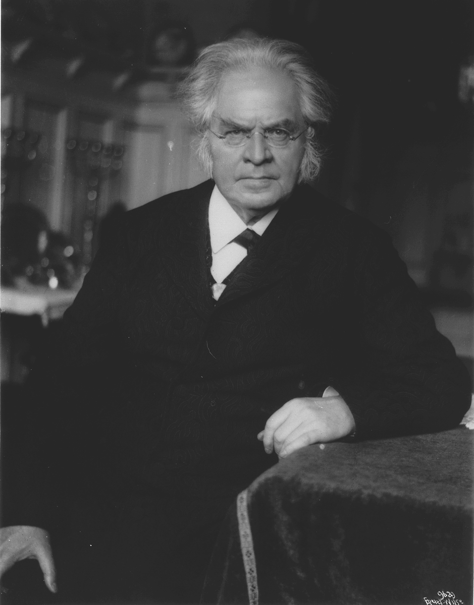 Anders Beer Wilse, Prot: Bjørnstjerne Bjørnson i Stuen bedste 17/11 1908