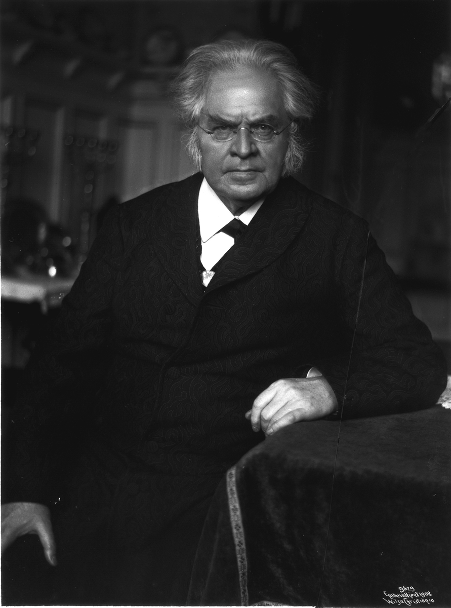 Anders Beer Wilse, Prot: Bjørnstjerne Bjørnson i Stuen bedste 17/11 1908