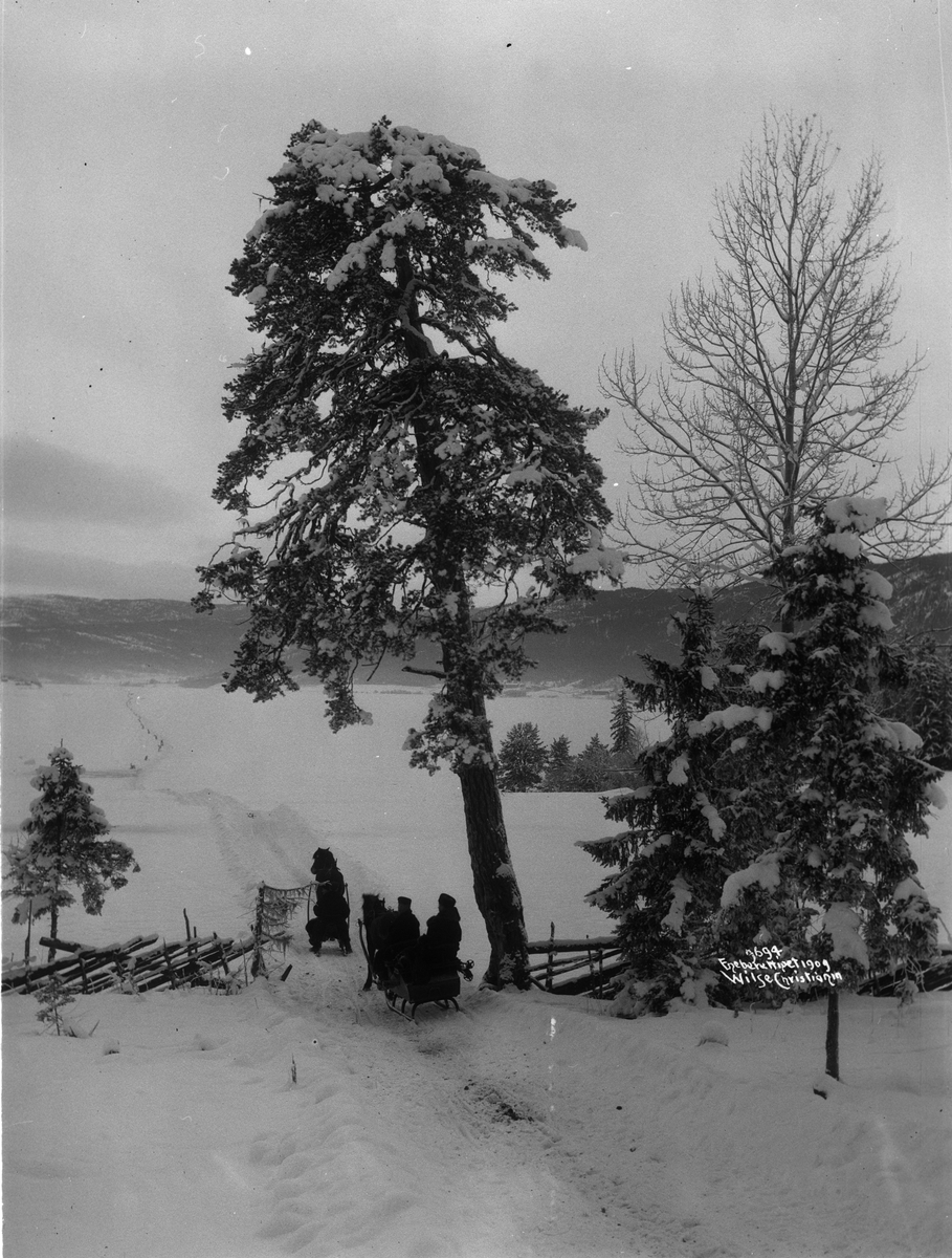 Anders Beer Wilse, Prot: Kjøring langs Krøderen 3/1 1909