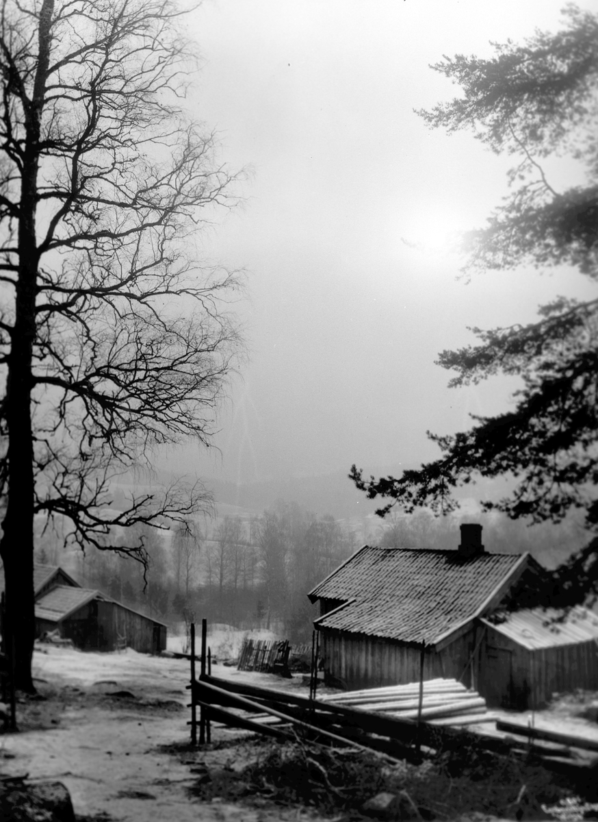 Anders Beer Wilse, Prot: Husmannsplass Stemning 3/2 1909