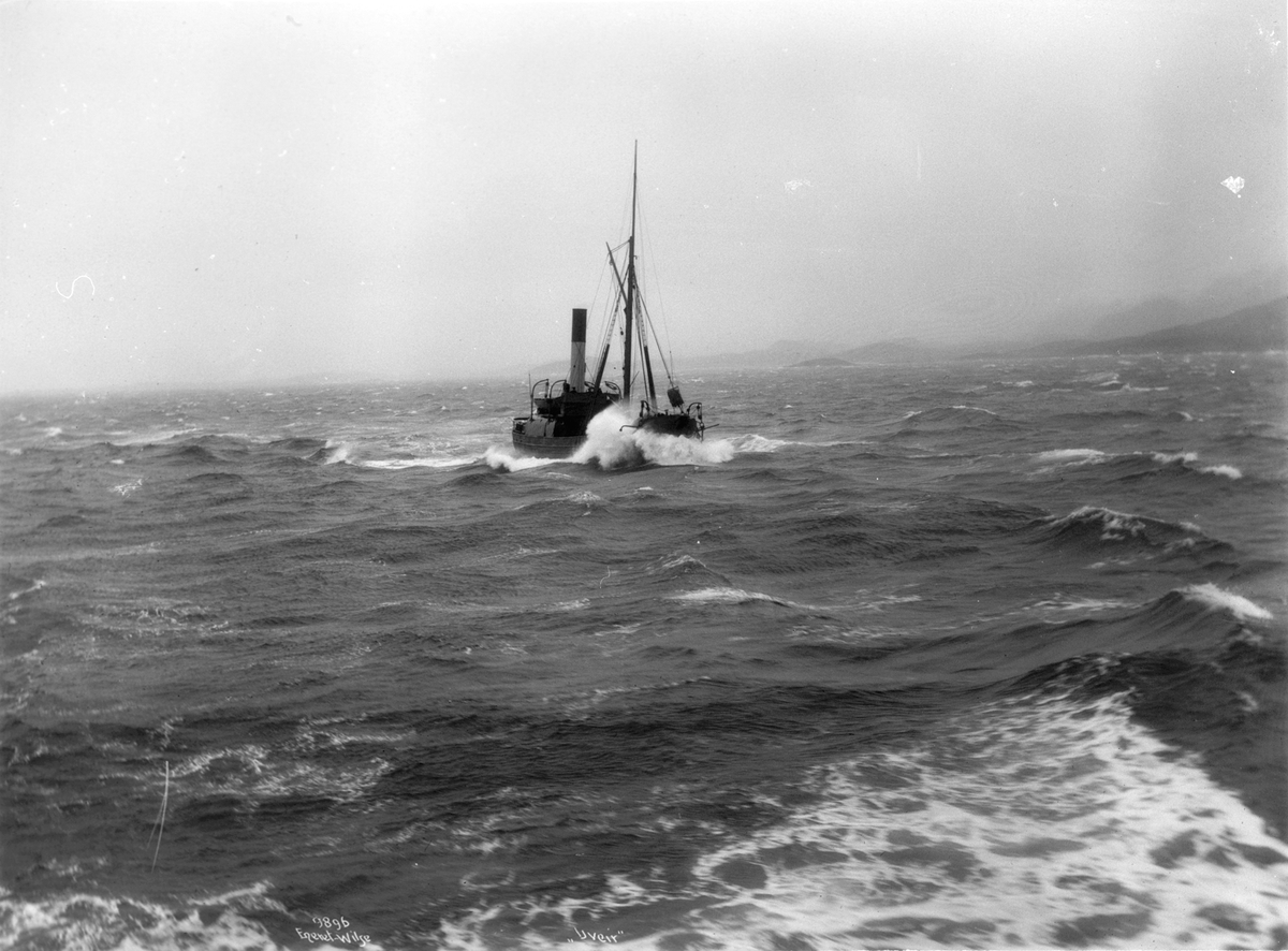Anders Beer Wilse, Prot: Uveir langs kysten mars 1910