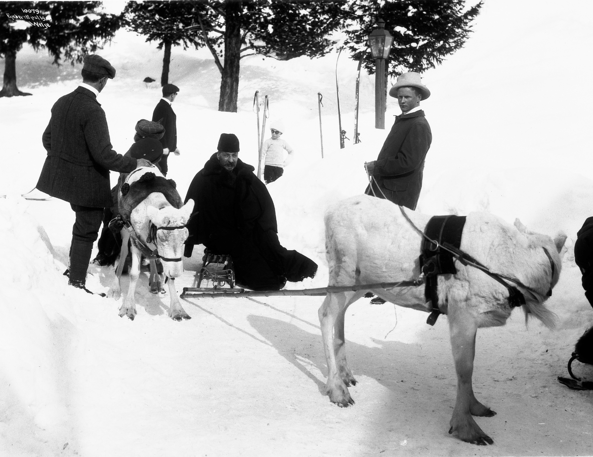 Anders Beer Wilse, Prot: Rensdyrskyds Rusiske minister og kronprinsen 30/3 1909