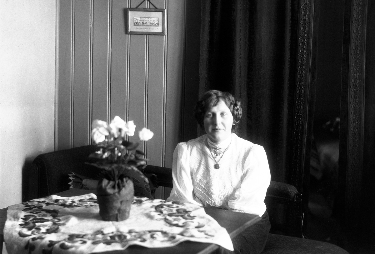 Anders Beer Wilse, Prot: Interiør Finse Hotel frk. Klem 11/4 1909