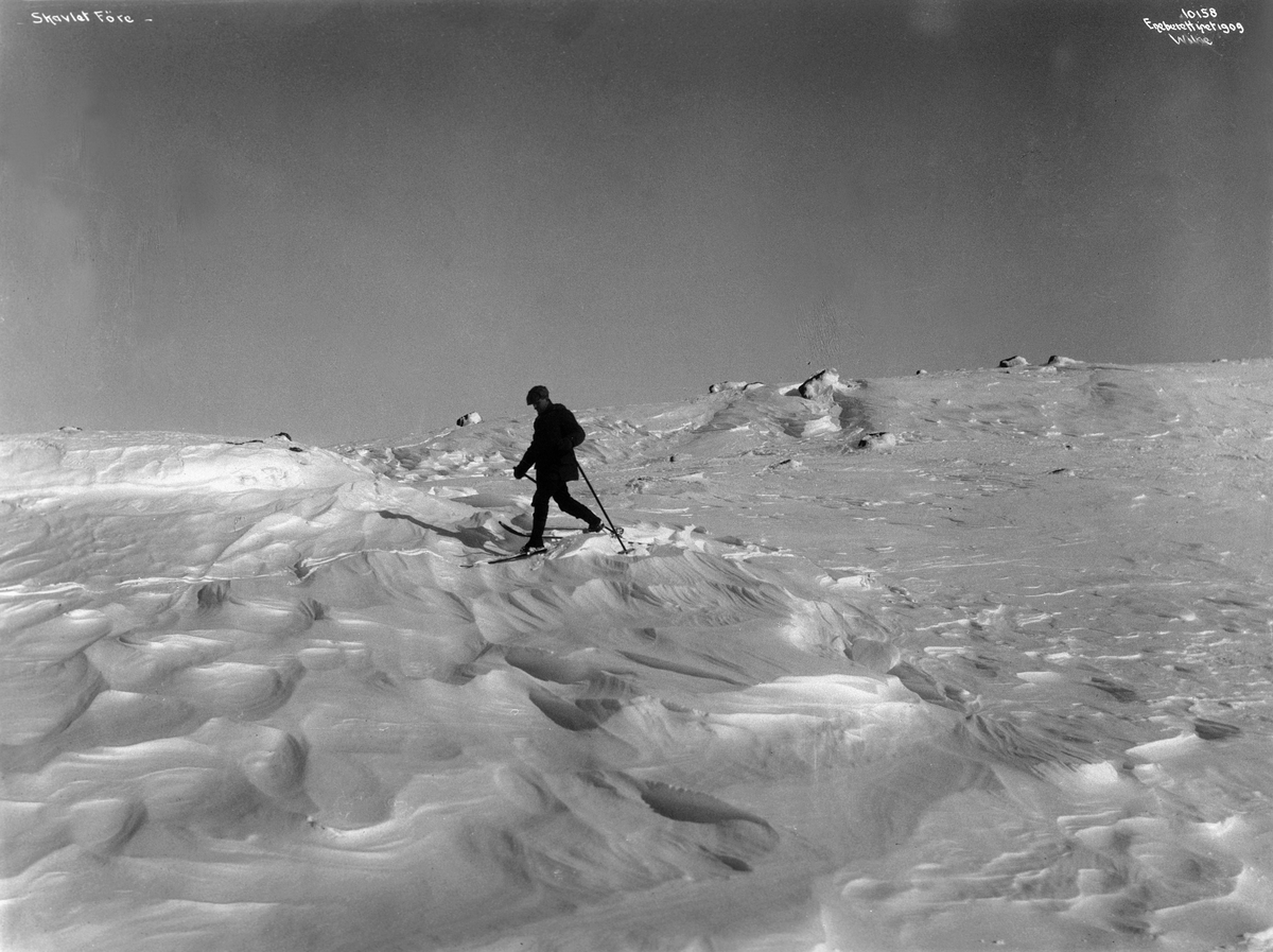 Anders Beer Wilse, Prot: Skavlet Føre Finsenuten 11/4 1909