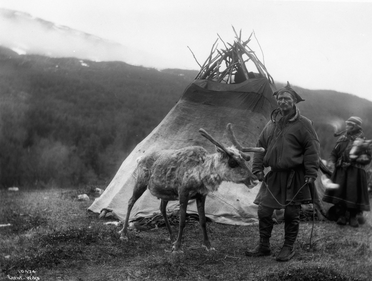 Anders Beer Wilse, Prot: Lappe med Ren 1909