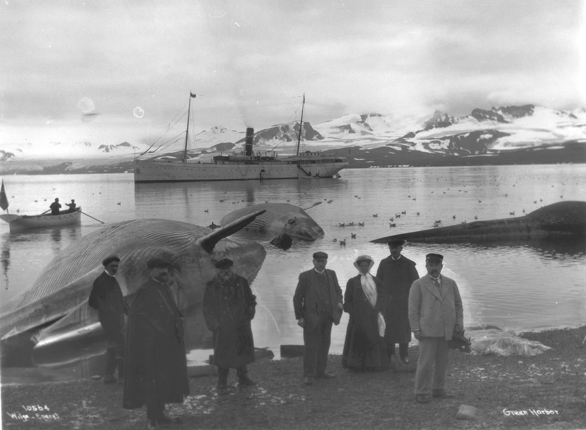 Anders Beer Wilse, Prot: Green Harbor og Turister 19/8 1909