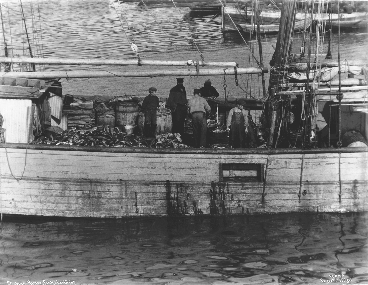 Anders Beer Wilse, Prot: Fisken sendes til Russeskonnerten 1909