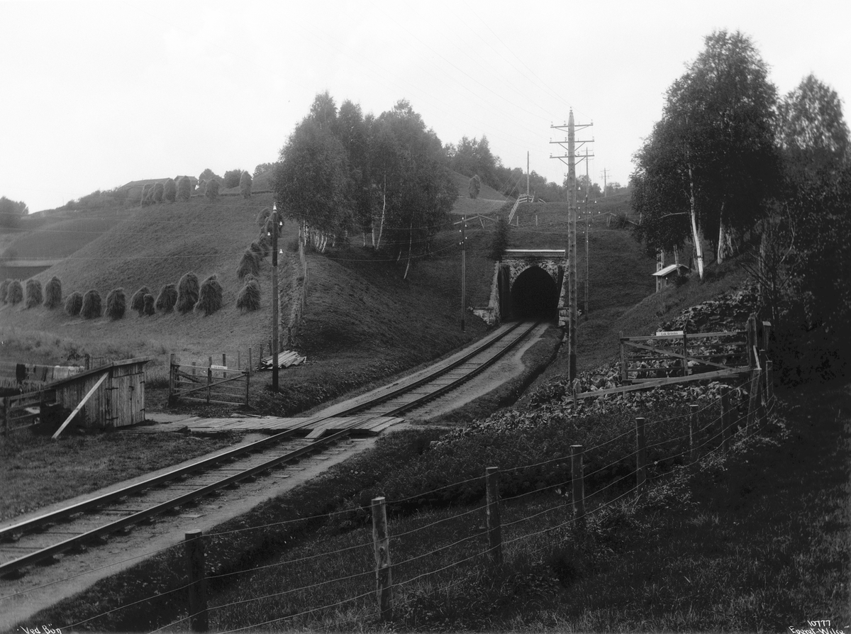 Anders Beer Wilse, Prot: Bro ved Bøn 1909