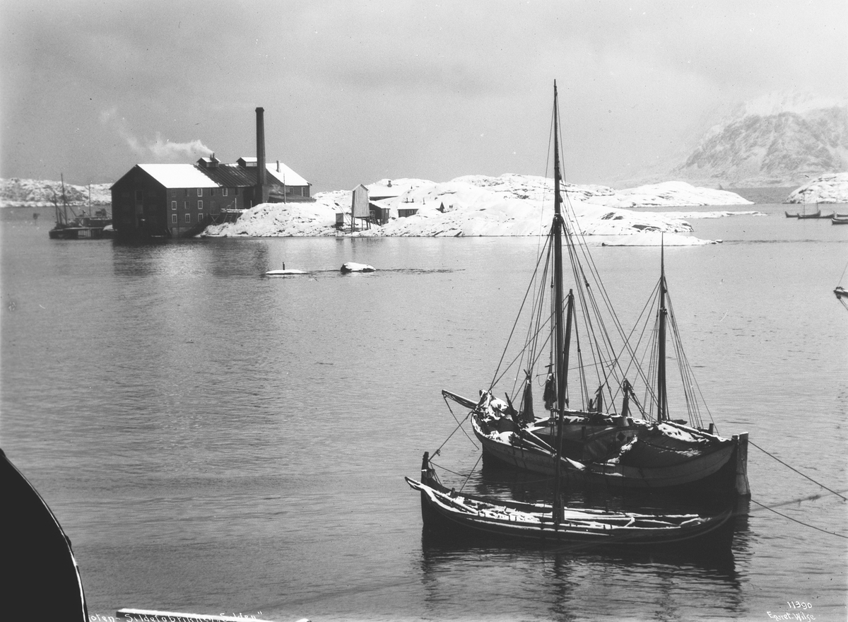 Anders Beer Wilse, Prot: Svolvær - Havneparti Sildefabrikken Silden 10/3 1910
