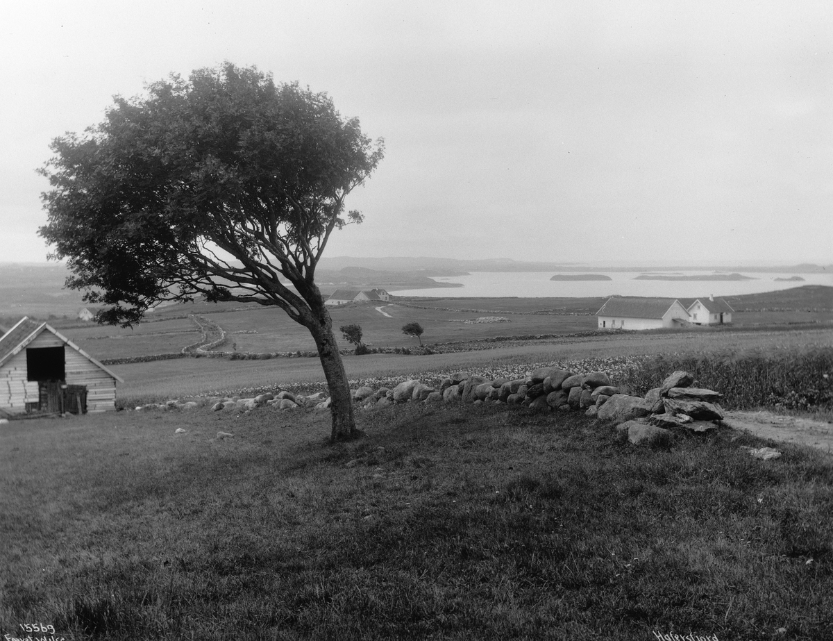 Anders Beer Wilse, Prot: Hafersfjorden