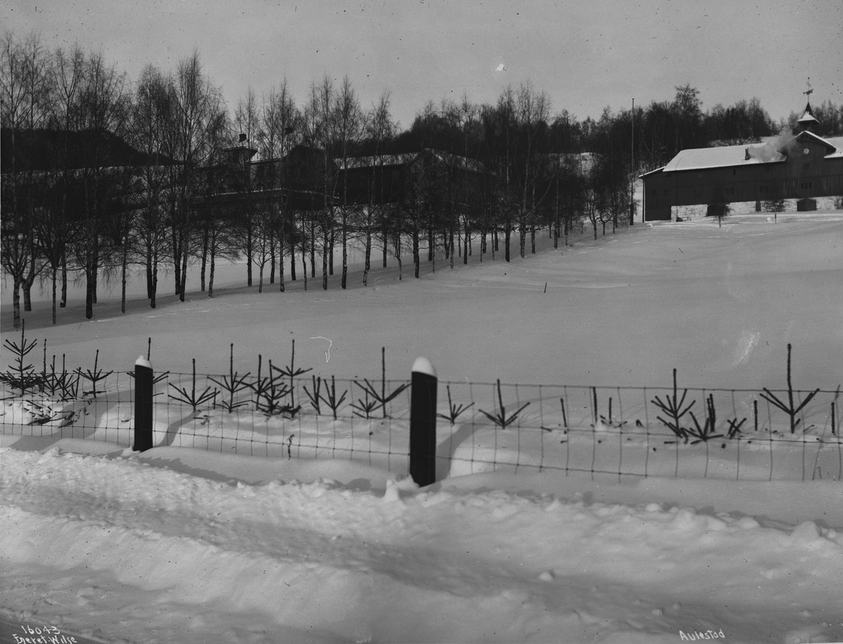 Anders Beer Wilse, Prot: Aulestad fra Veien