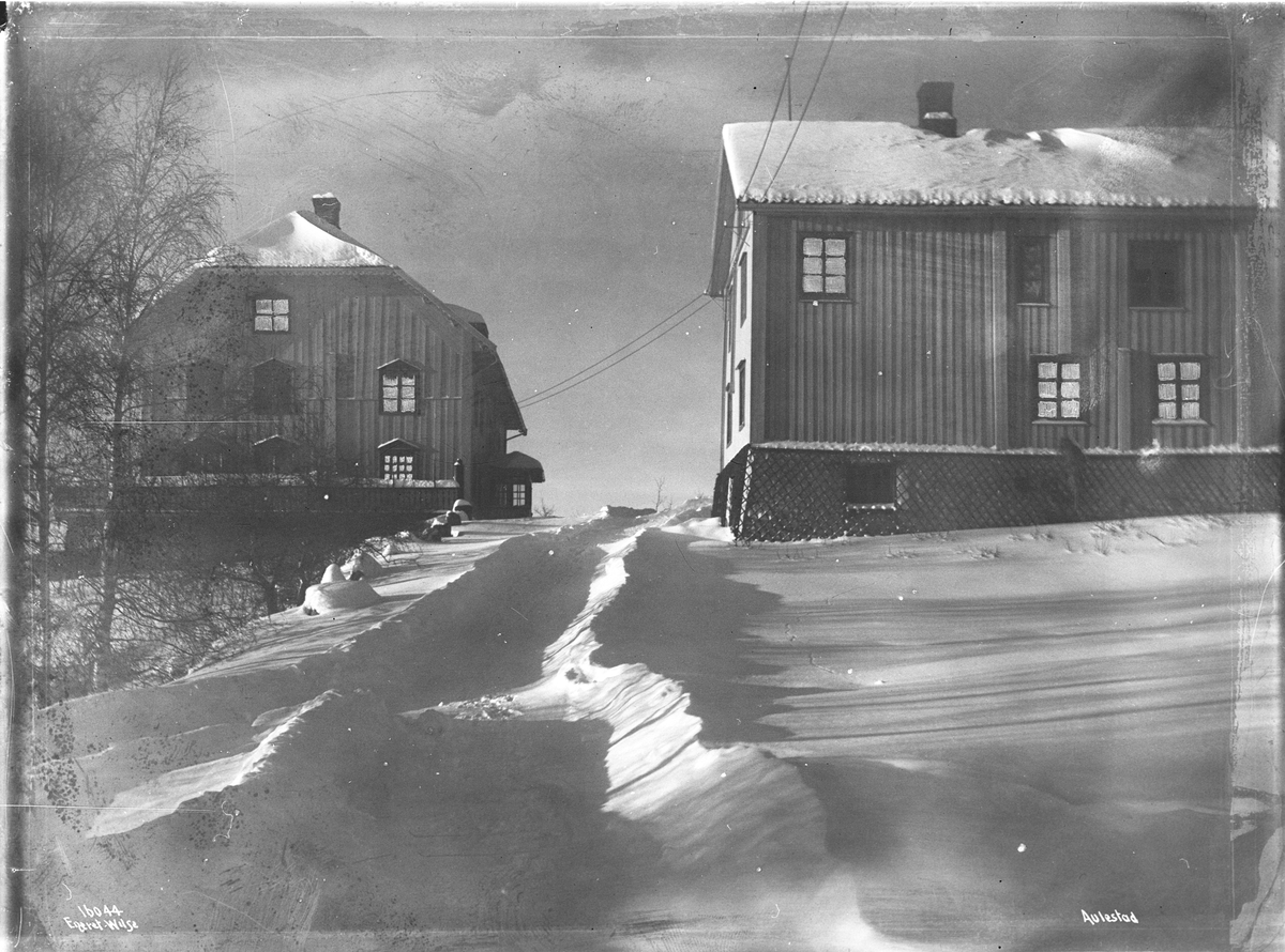 Anders Beer Wilse, Prot: Aulestad i Maaneskin