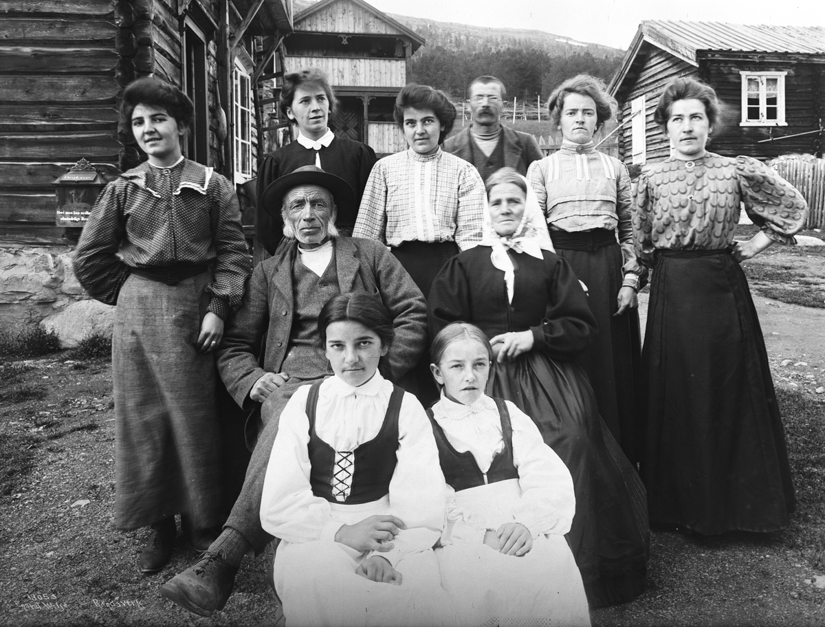 Anders Beer Wilse, Prot: Randsverk - Familien Tronhus