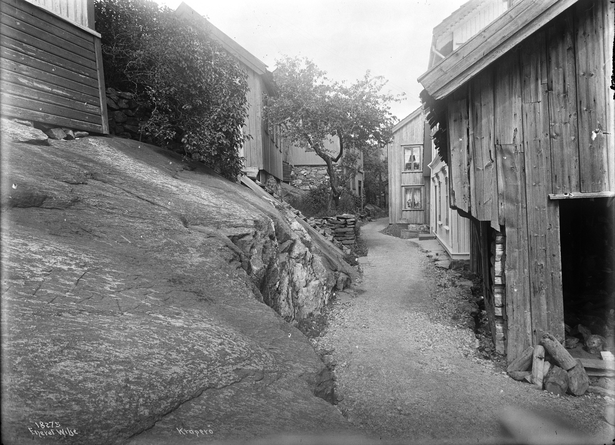 Anders Beer Wilse, Prot: Kragerø Gadeparti paa Øen Juli 14.