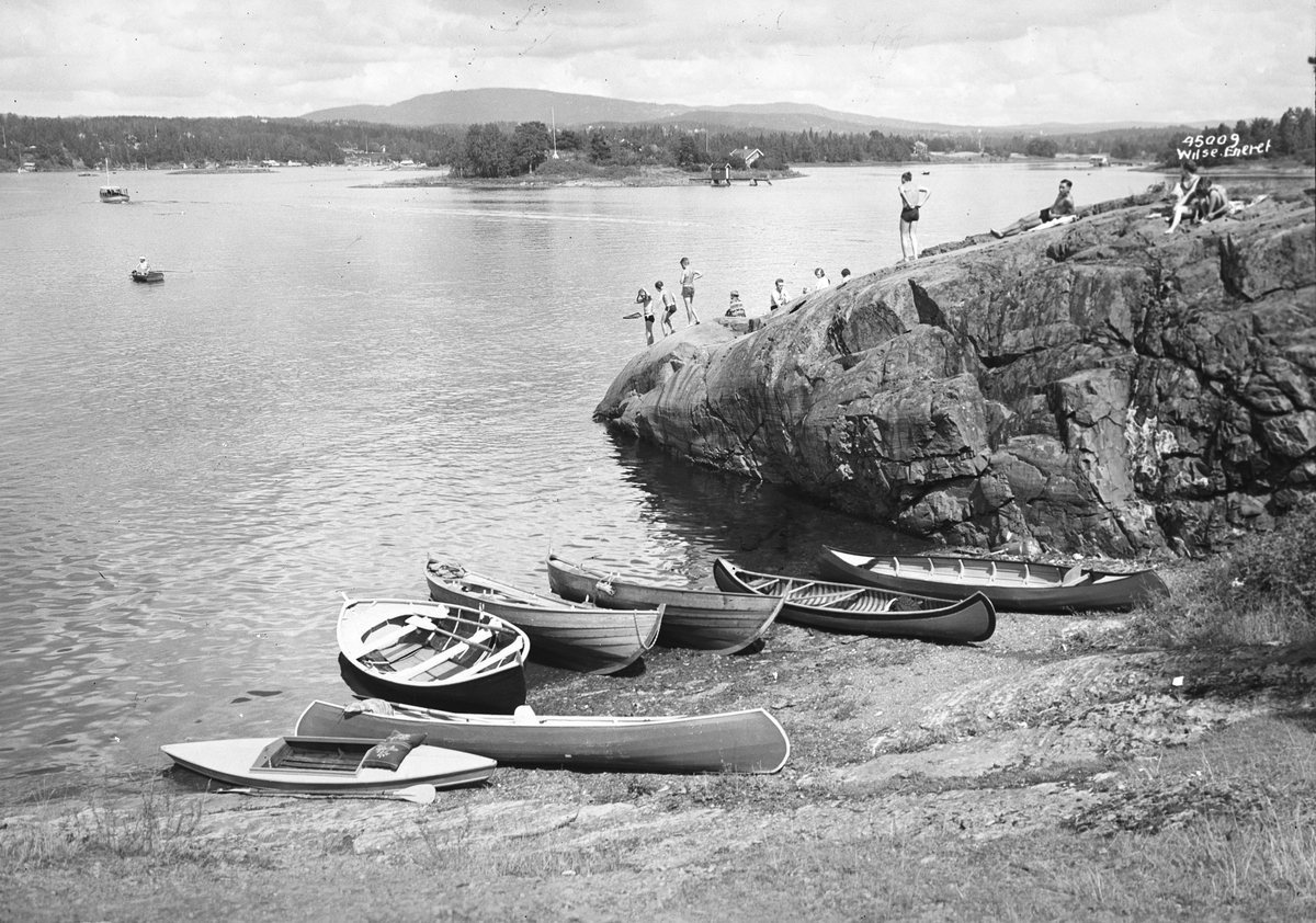 Anders Beer Wilse, Prot: Badeliv Torvøya