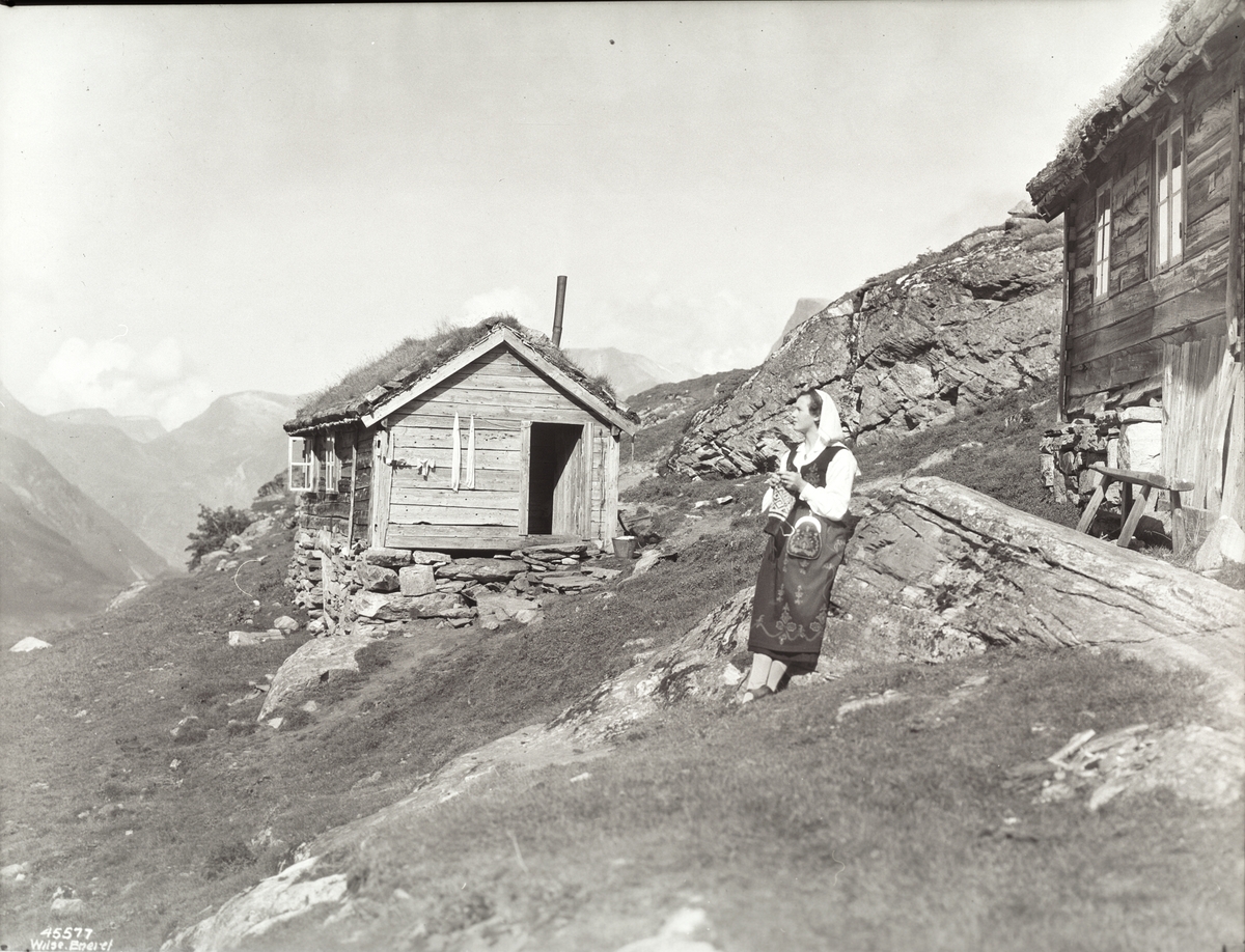 Anders Beer Wilse, Prot: Genre Blandede, Sæterjenten Geiranger Paa sætern