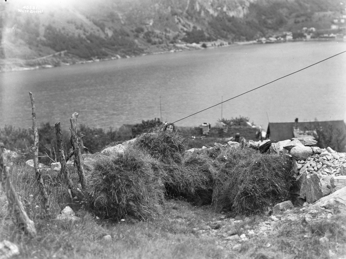Anders Beer Wilse, Prot: Genre Blandede, Sæterjenten Geiranger Høiet paa streng