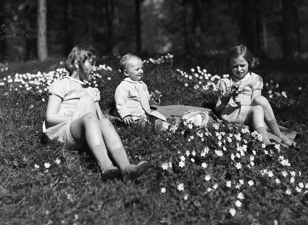 Anders Beer Wilse, Prot: Skaugum Blandt hvitveis