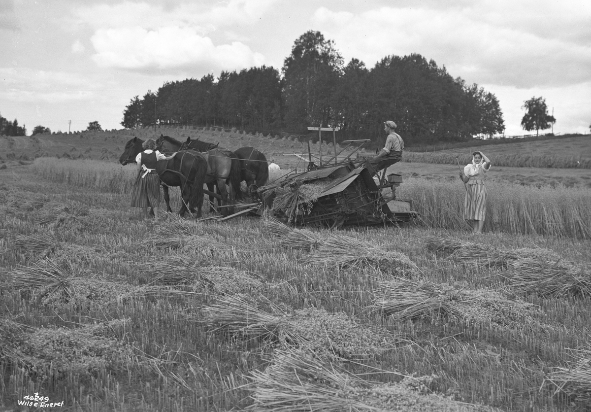 Anders Beer Wilse, Prot: Akern slåes traktor