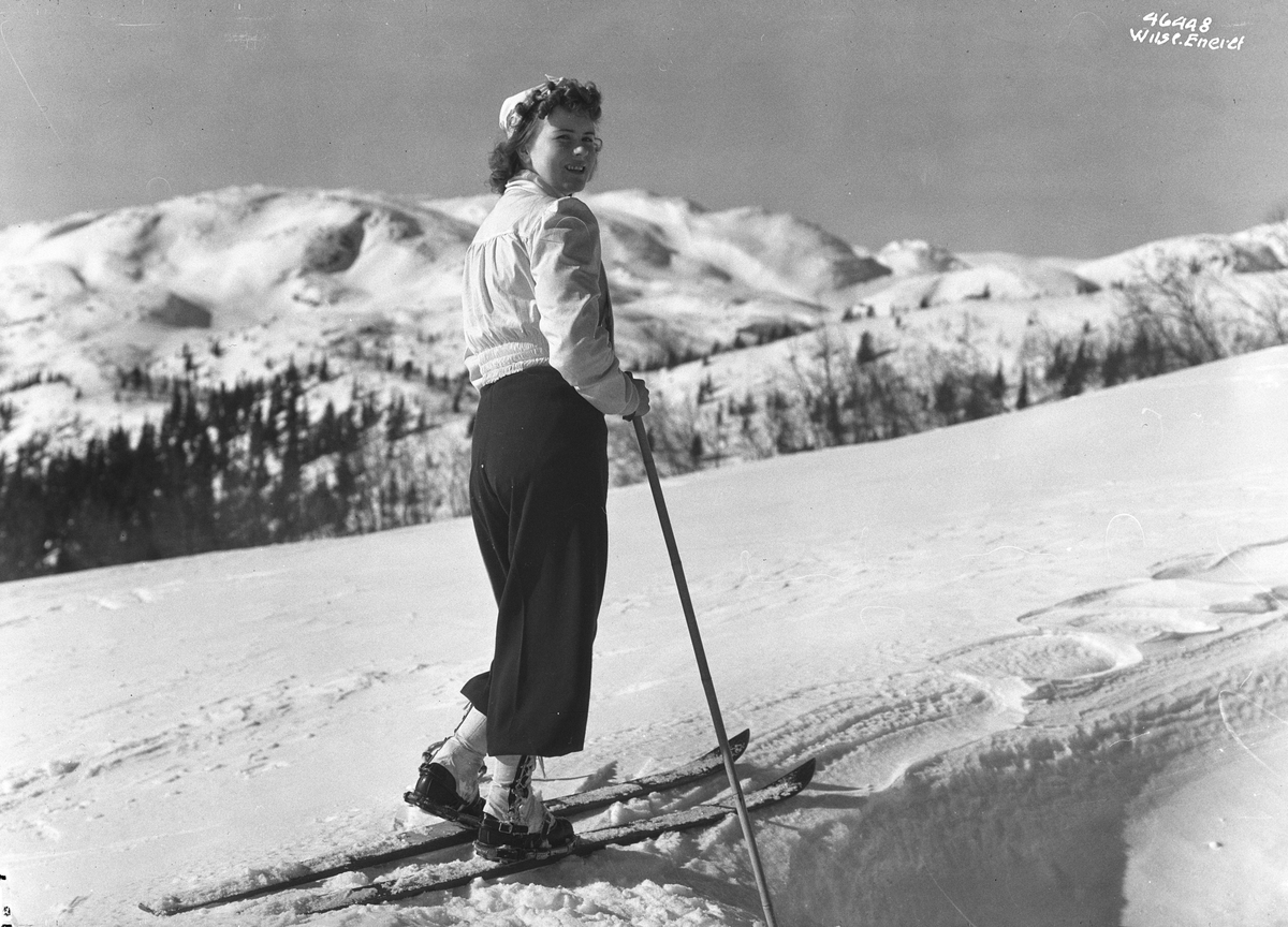 Anders Beer Wilse, Prot: Skipike Rjukan