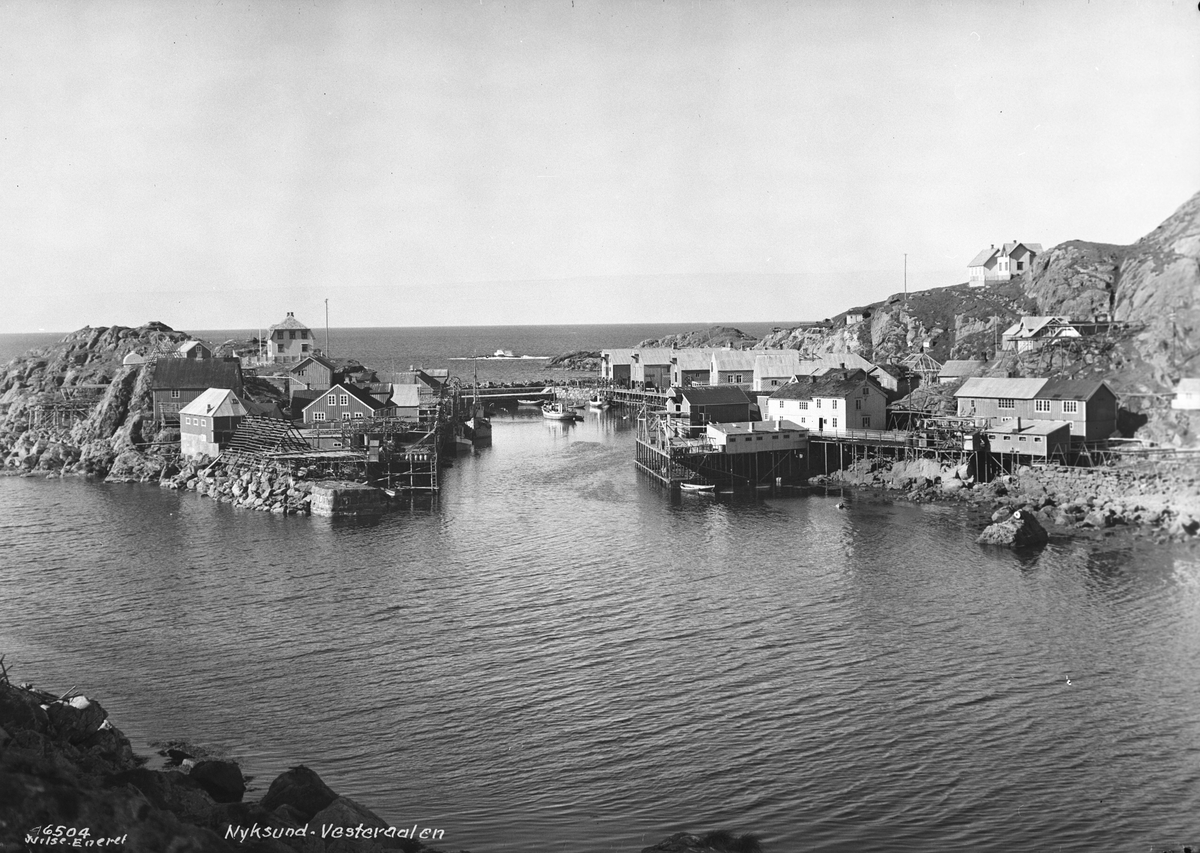 Anders Beer Wilse, Prot: Nyksund