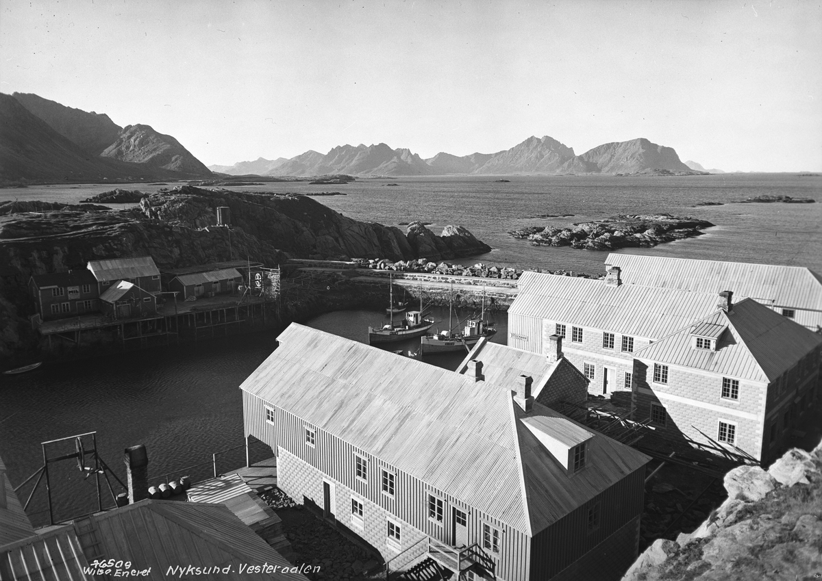 Anders Beer Wilse, Prot: Nyksund