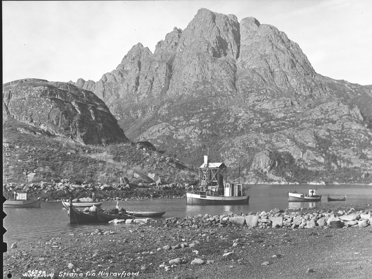 Anders Beer Wilse, Prot: Strøna fra Higrafsfjord