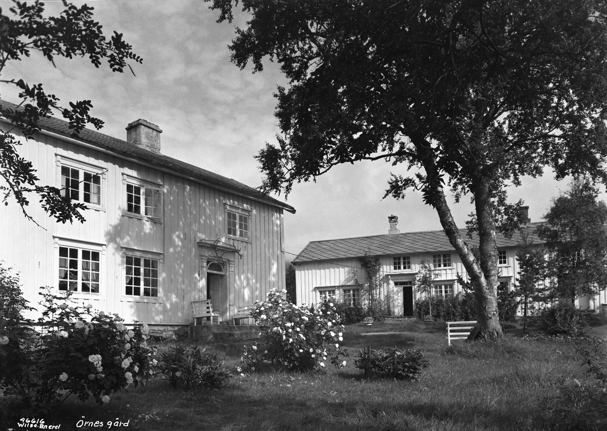 Anders Beer Wilse, Prot: Ørnes gård Konv: Ørnes gård, Bernhoft