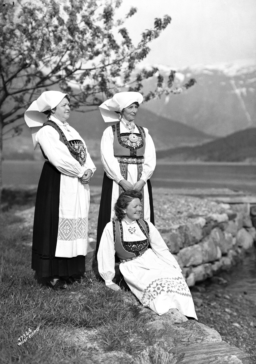 Anders Beer Wilse, Prot: Hardangerkoner