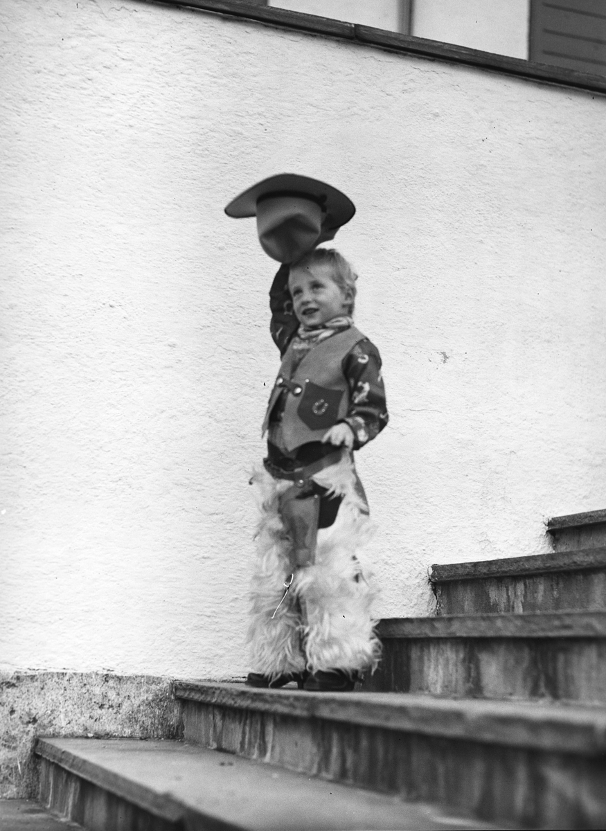Anders Beer Wilse, Prot: Harald cowboy