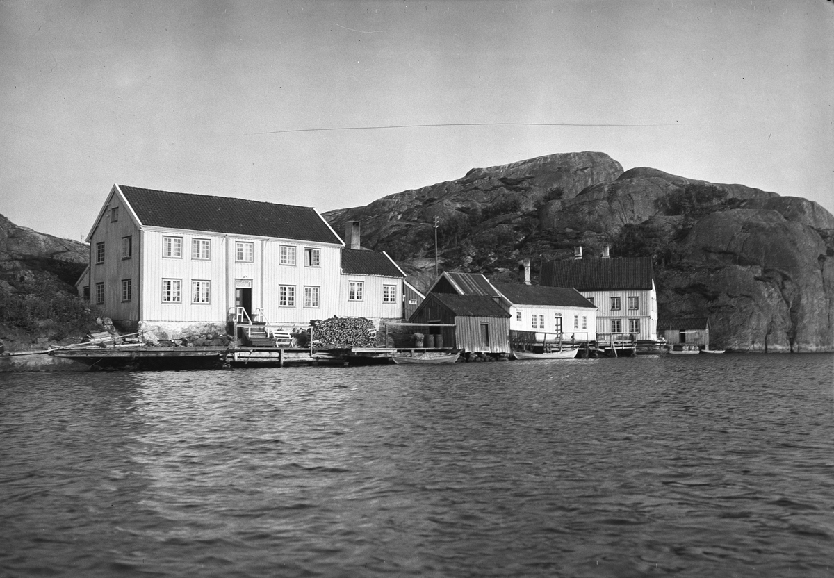 Anders Beer Wilse, Prot: Ny Hellesund