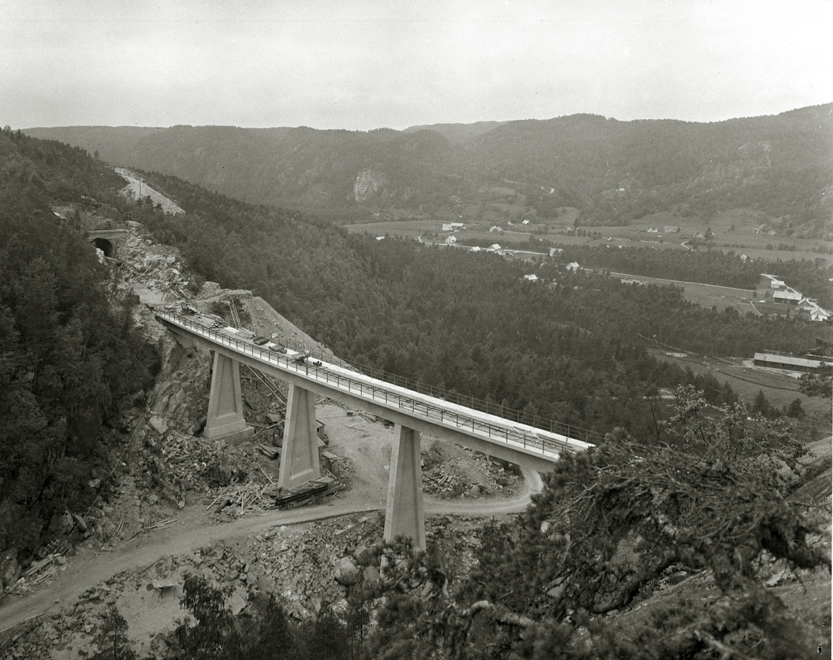 Anders Beer Wilse, Prot: Hundalen Viadukt