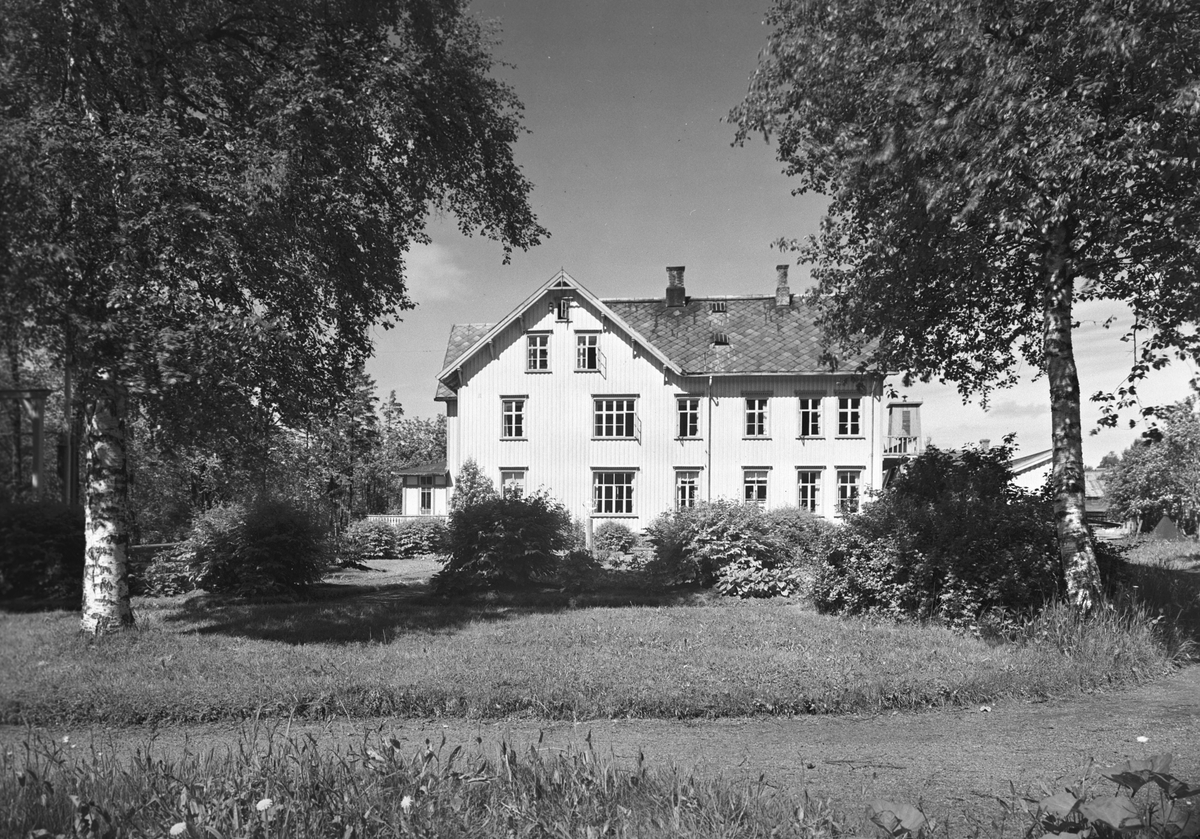 Anders Beer Wilse, Prot: Meiergården Hotel Mo i Rana