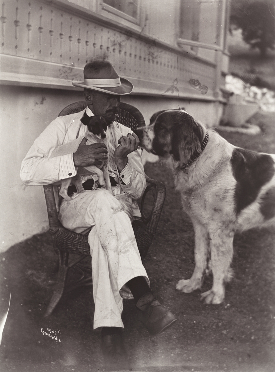 Anders Beer Wilse, Prot: Kapt. Roald Amundsen med sine hunde 3/6