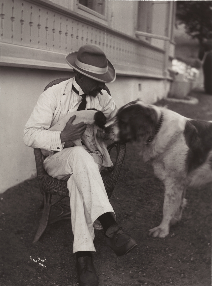 Anders Beer Wilse, Prot: Kapt. Roald Amundsen med sine Hunde 3/6