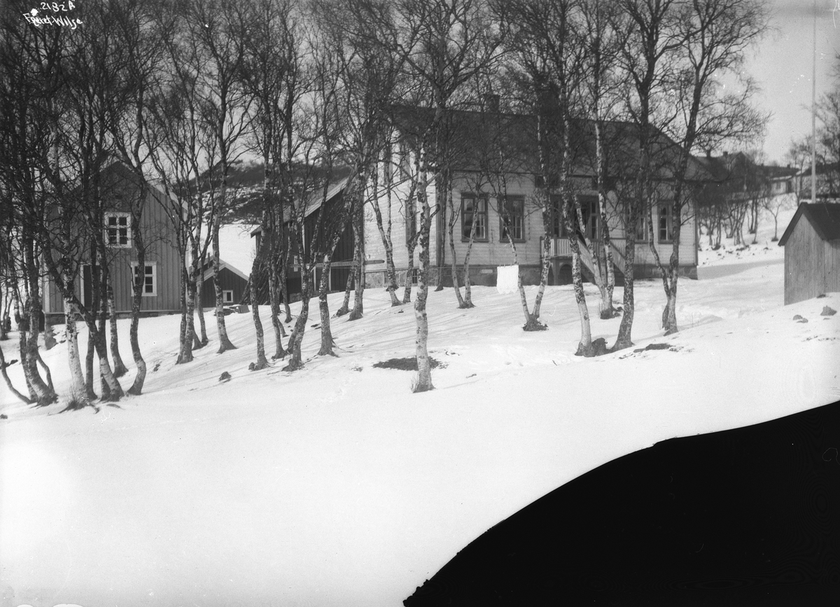 Anders Beer Wilse, Prot: Hammerøi 13/4