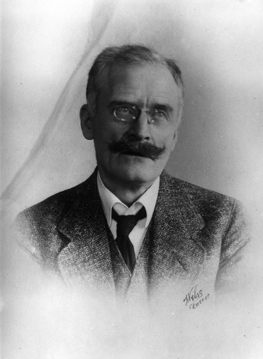 Anders Beer Wilse, Prot: Hamsun Knut - fortonet