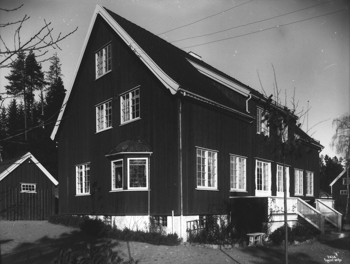 Anders Beer Wilse, Prot: Bojer Johan Villa