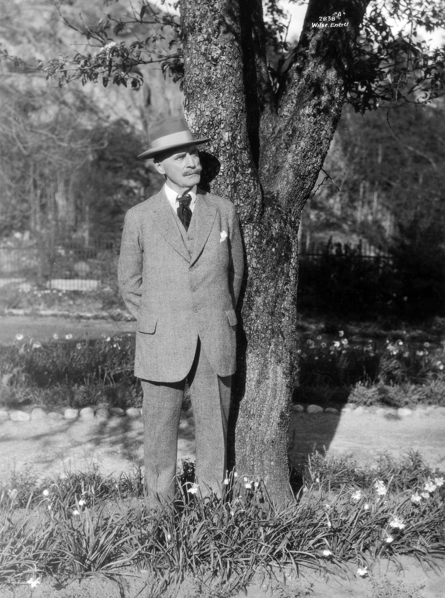 Anders Beer Wilse, Prot: Hamsun Knut 8/6